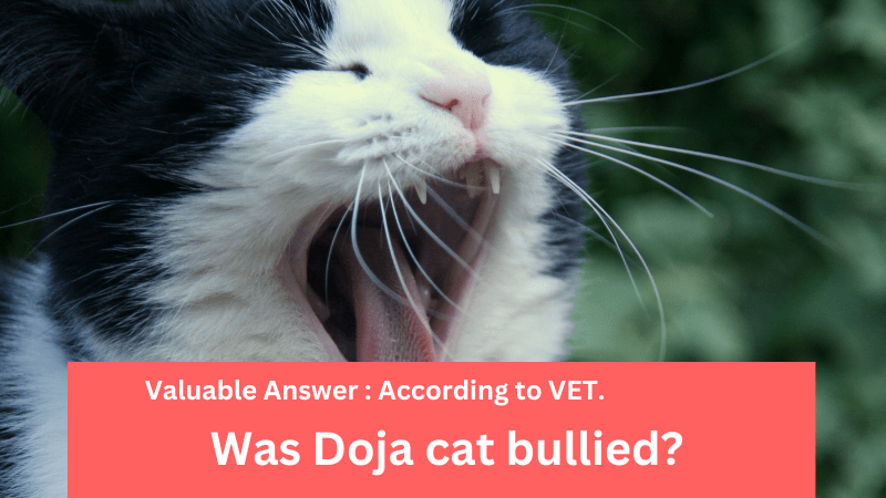 Was Doja cat bullied